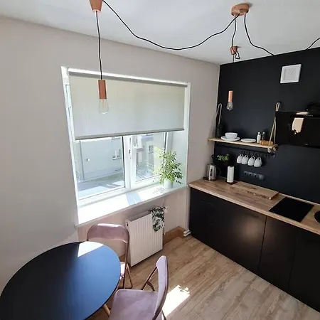 The Sunny Willow Apartment Liepāja